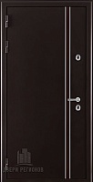 Дверь входная уличная Норд 2, цвет коричневый муар, панель - light 2127 цвет тортора soft